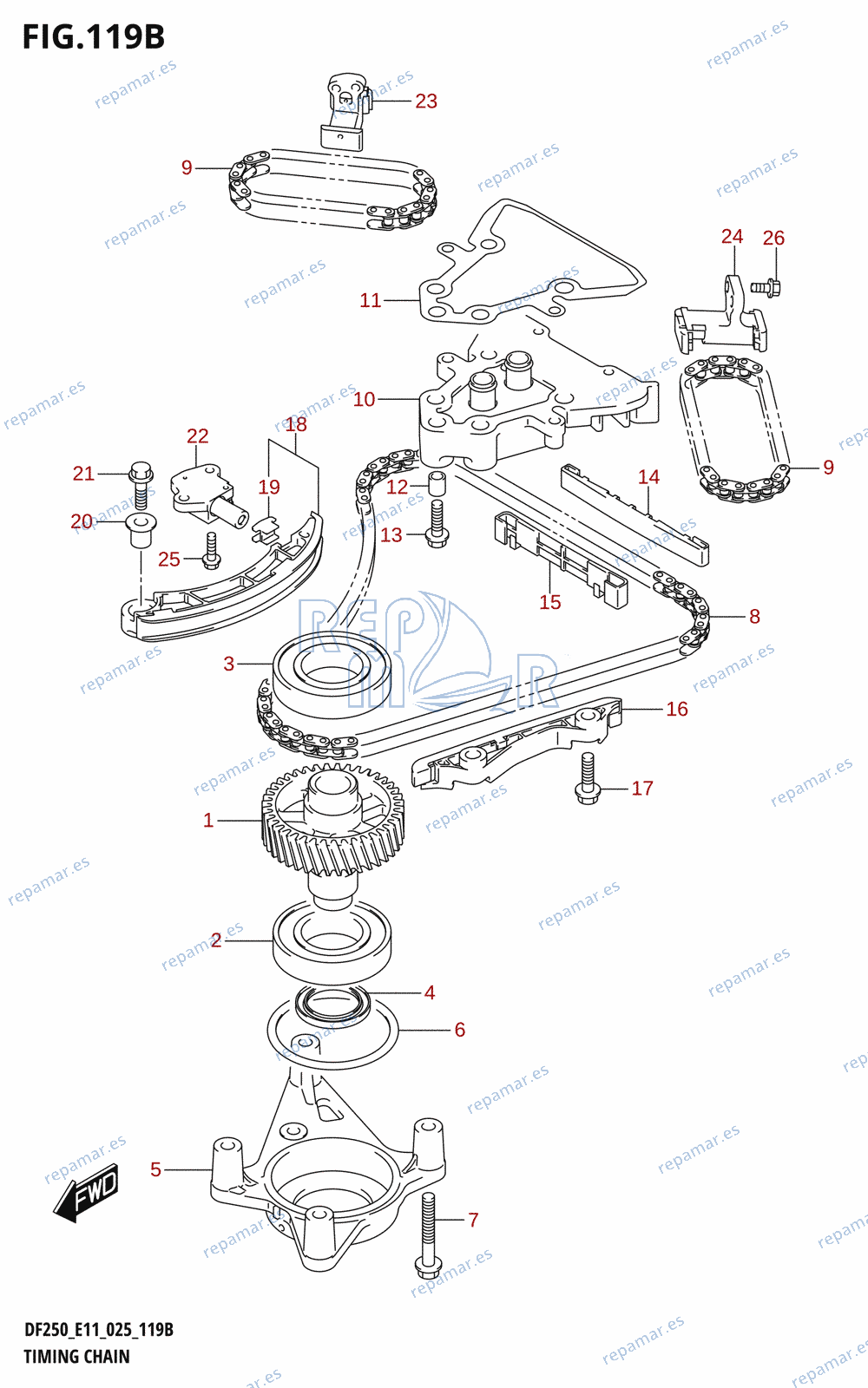 119B - TIMING CHAIN (DF250ST)