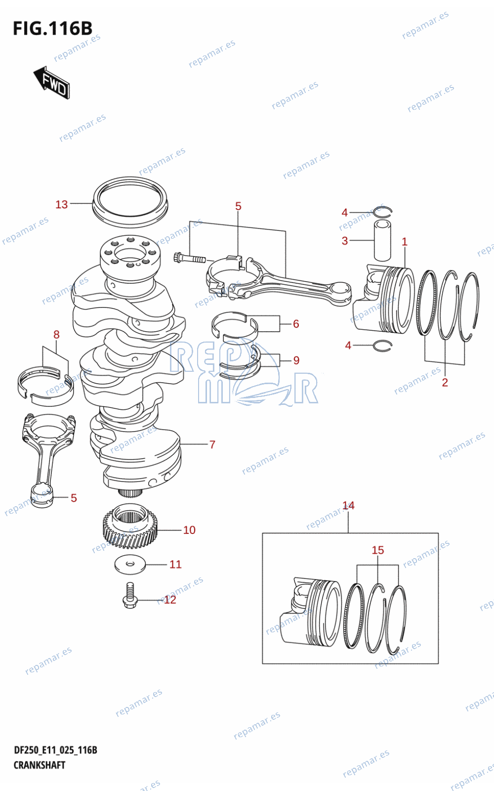 116B - CRANKSHAFT (DF250ST)