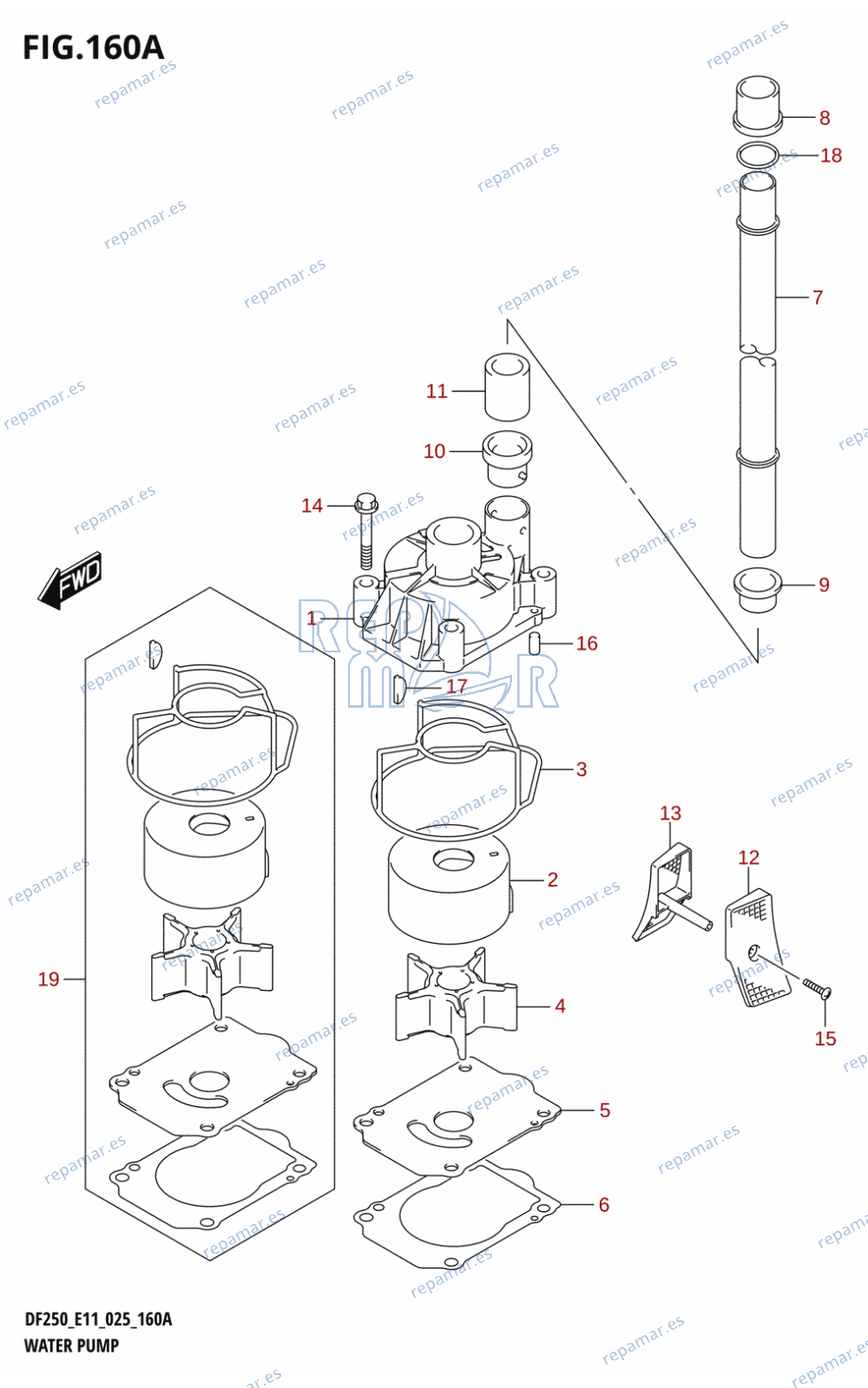 160A - WATER PUMP ((DF225T,DF225Z,DF250T,DF250Z):E11,(DF200T,DF200Z):024:E01,(DF200T,DF200Z):025:E11)